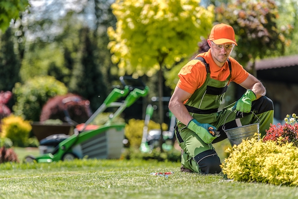 Landscaping Charleston, SC