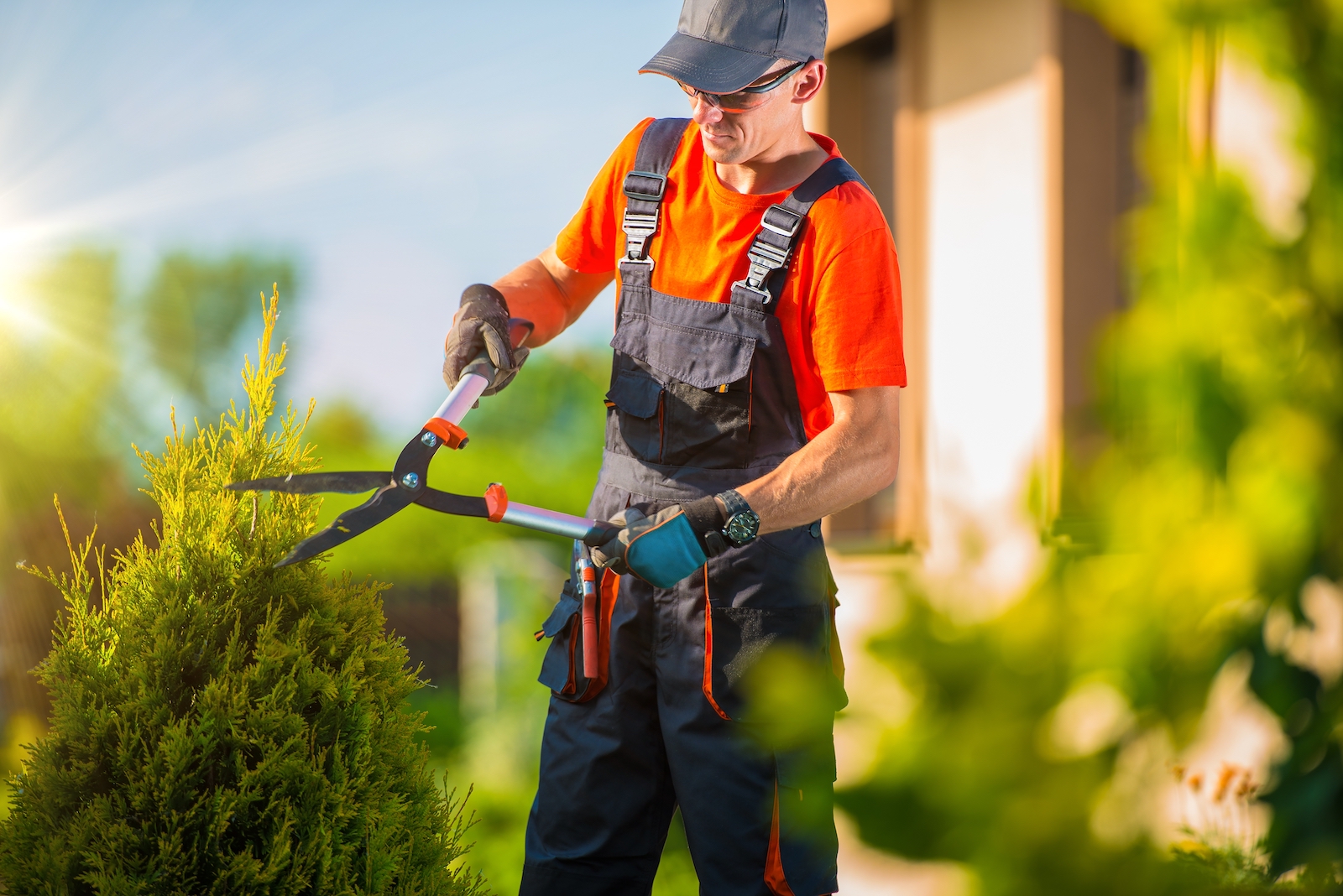 Landscaper Summerville, SC