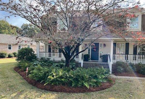 Landscaping Summerville, SC